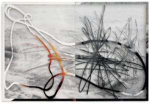 Peter Freitag - Beauty Free -- "Beauty Freel"