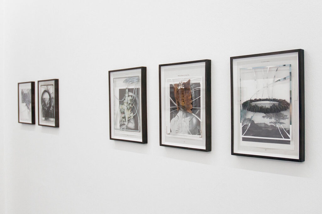 Peter Freitag - shocked I had no idea