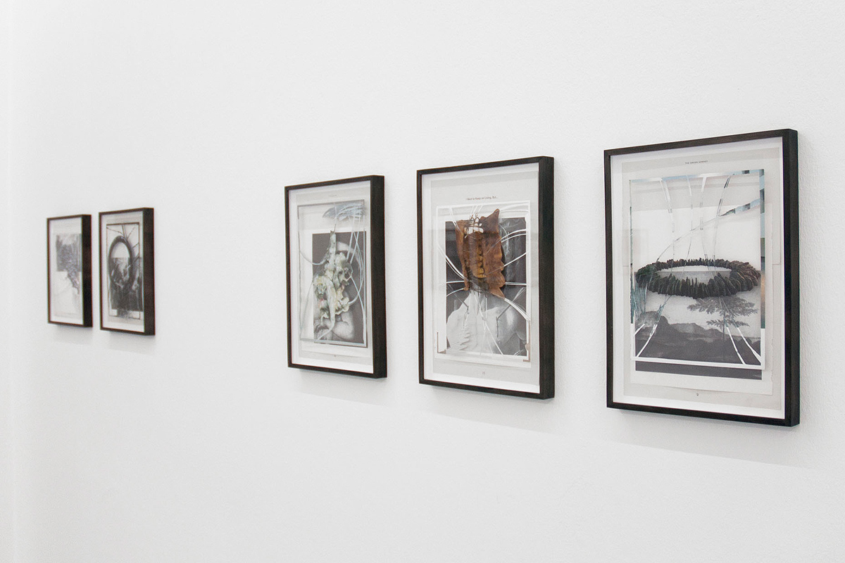 Peter Freitag - shocked I had no idea