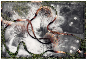 Peter Freitag - Beauty Free -- "Hoping the Stars Know it's Time to Shine