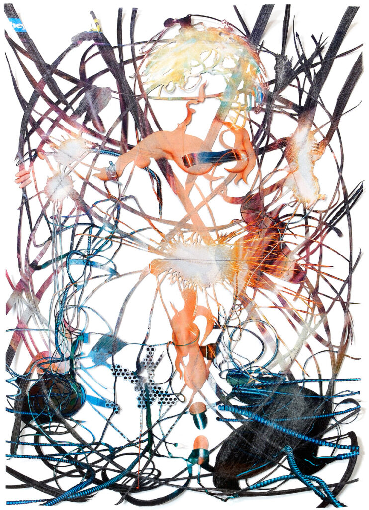 Peter Freitag - Star-Cuts -- "Lady Didi"