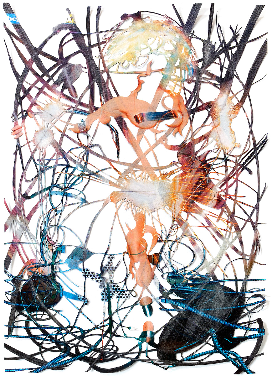 Peter Freitag - Star-Cuts --"Lady Didi"