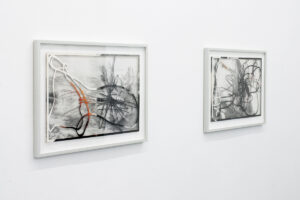 Peter Freitag - Beauty Free