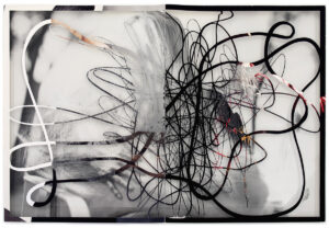 Peter Freitag - Beauty Free -- "Read Between The Lies"