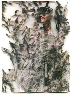 Peter Freitag - BLATTFORMER -- "Zuviel"