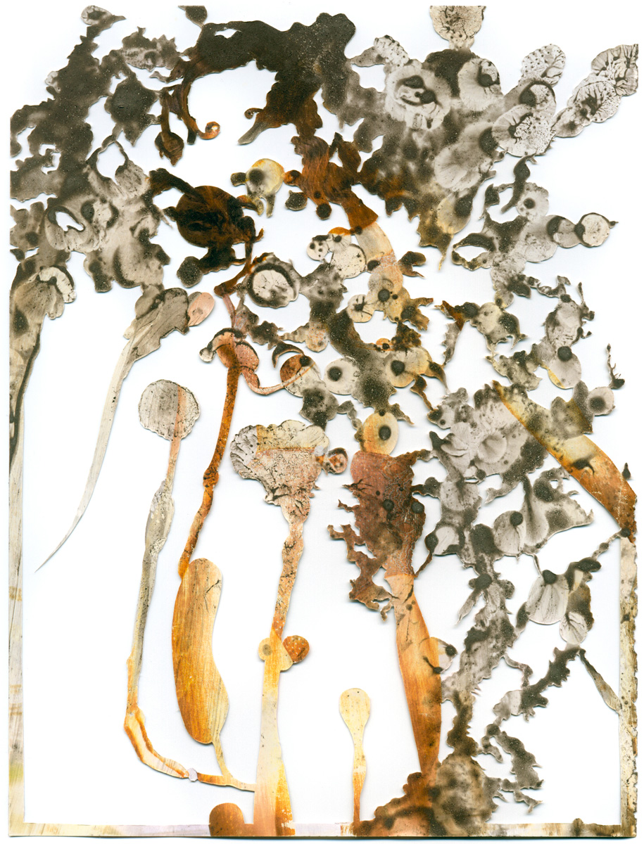 Peter Freitag - BLATTFORMER -- "Pollenflug"