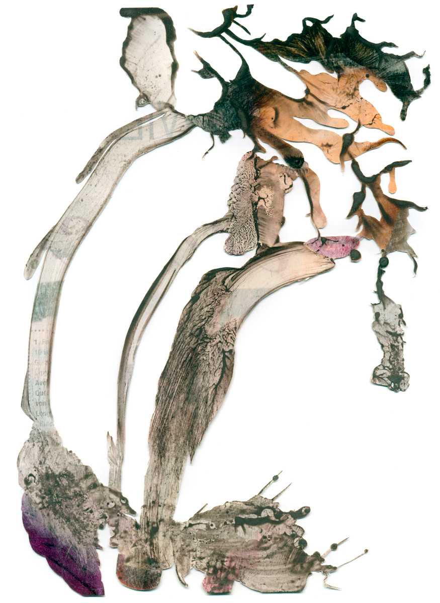 Peter Freitag - BLATTFORMER -- "Hinrichtung"