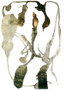 Peter Freitag - BLATTFORMER -- "Sünde"