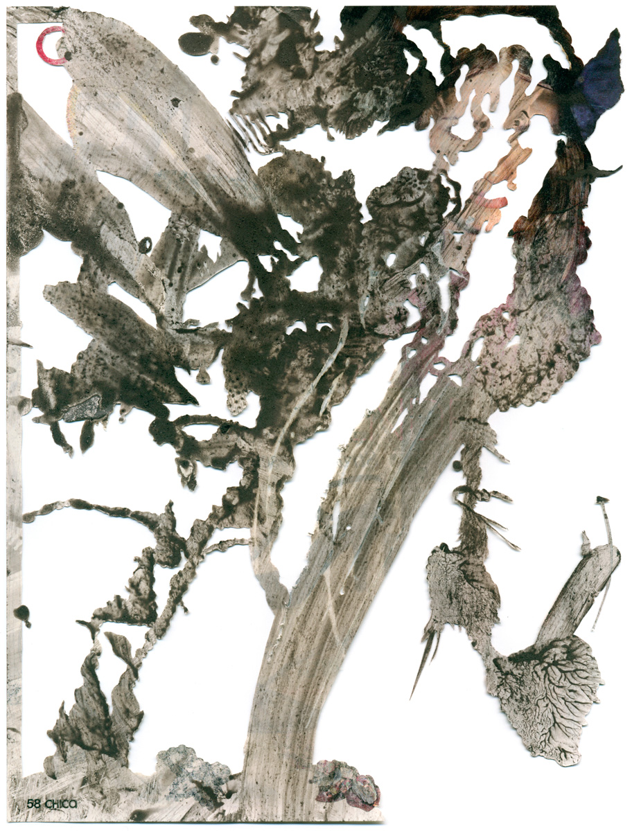 Peter Freitag - BLATTFORMER -- "Abflug"