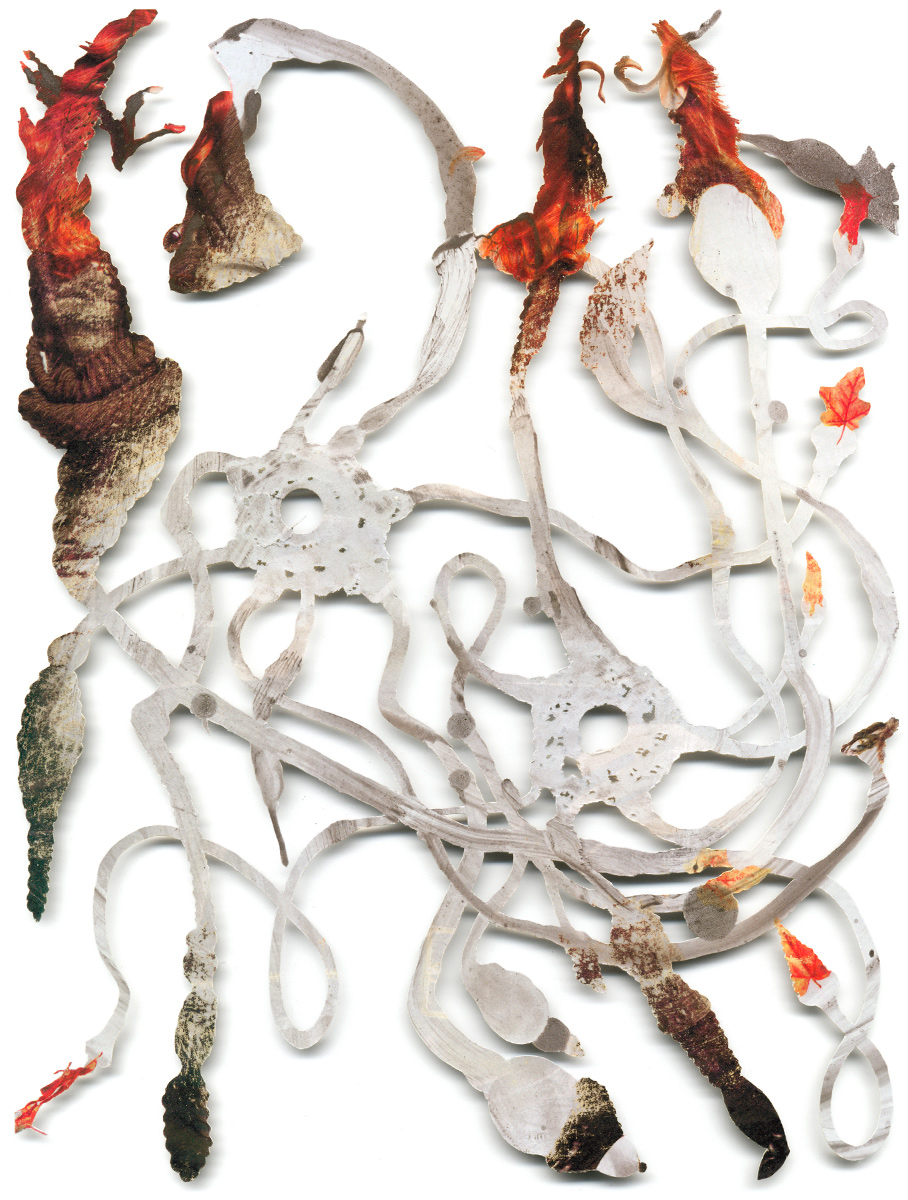 Peter Freitag - BLATTFORMER -- "Two Rings Of Fire"