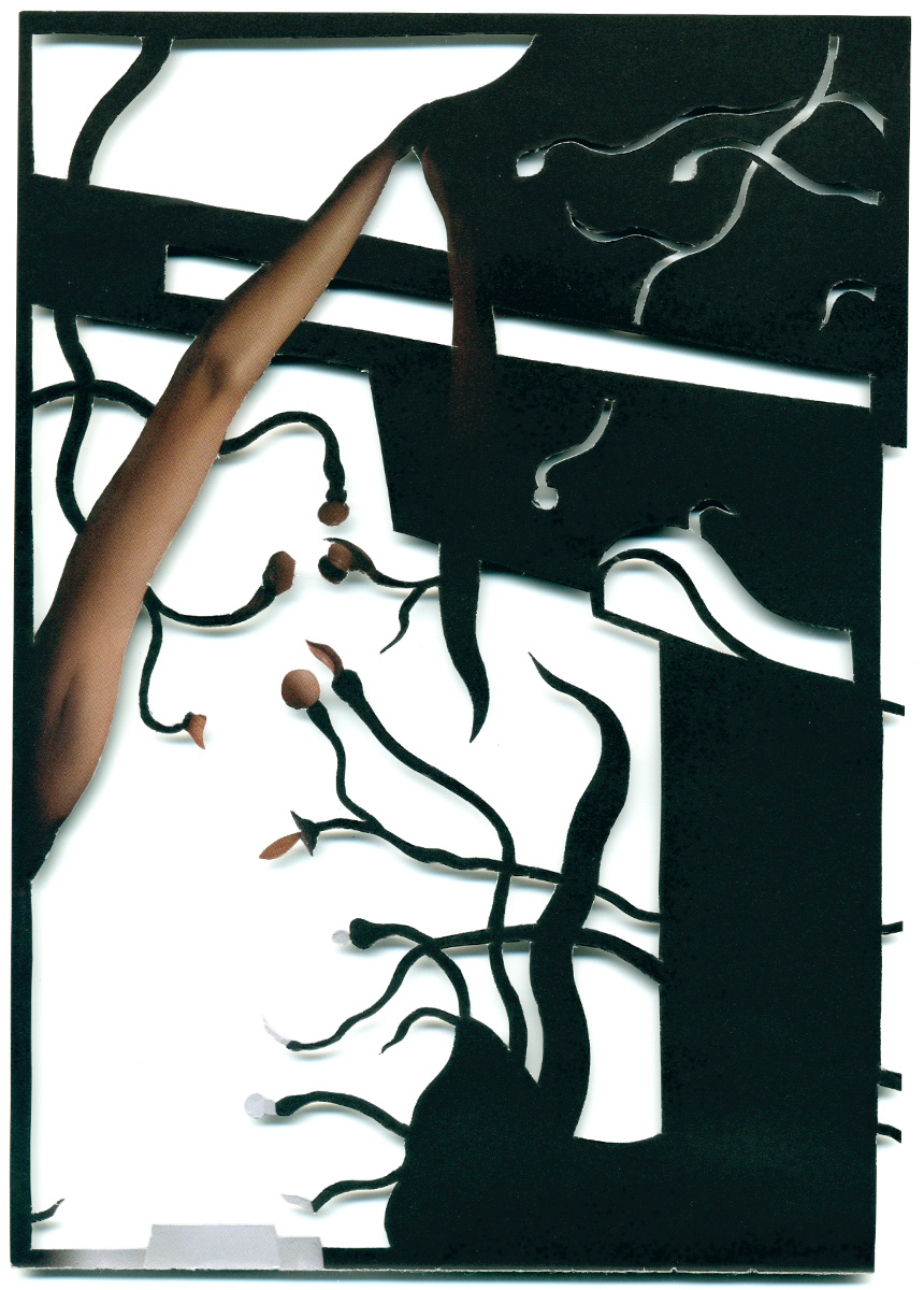 Peter Freitag - BLATTFORMER -- "Top Kill"