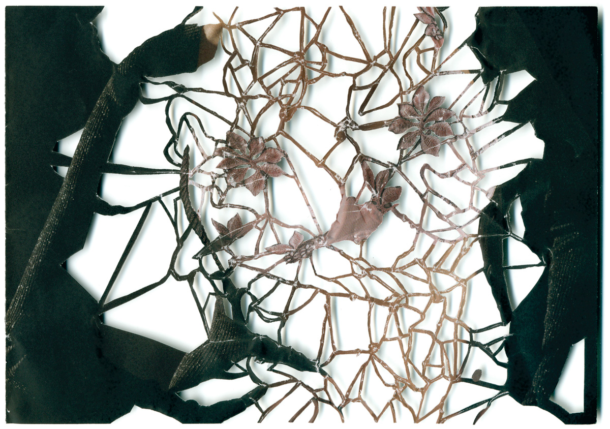 Peter Freitag - BLATTFORMER -- "Netzhaut"