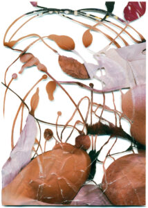 Peter Freitag - BLATTFORMER -- "Kein Akt - Keine Treppe"