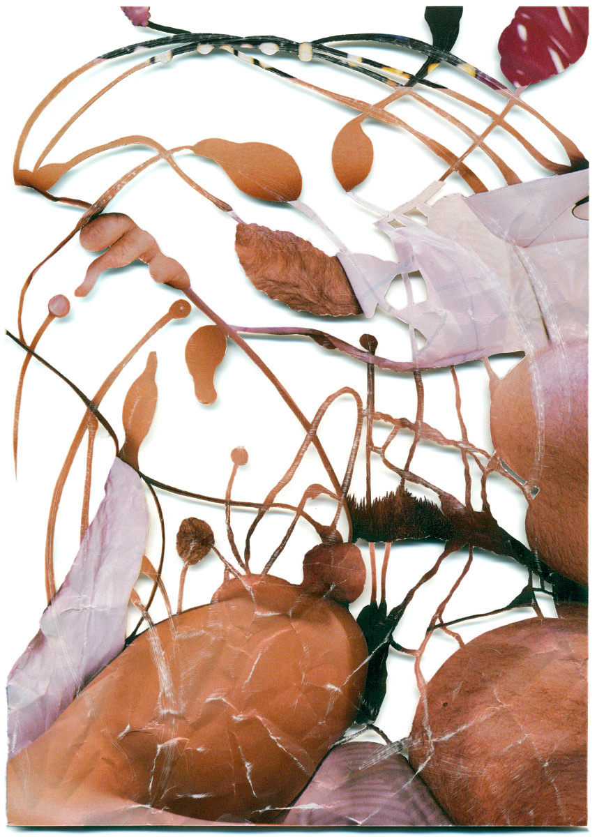 Peter Freitag - BLATTFORMER -- "Kein Akt - Keine Treppe"