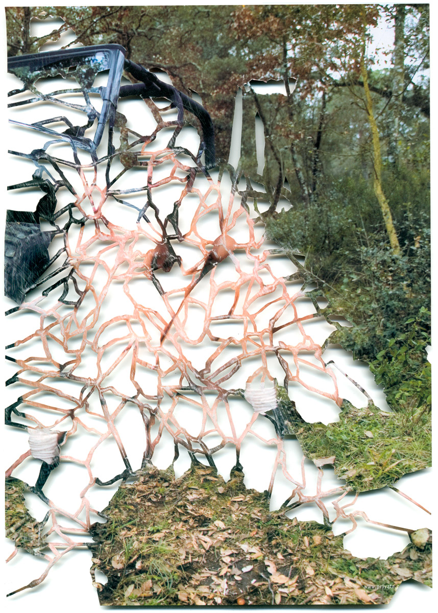 Peter Freitag - BLATTFORMER -- "Kumpelnest"