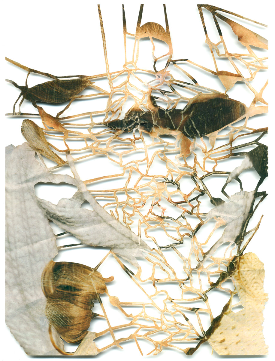 Peter Freitag - BLATTFORMER -- "Bones"