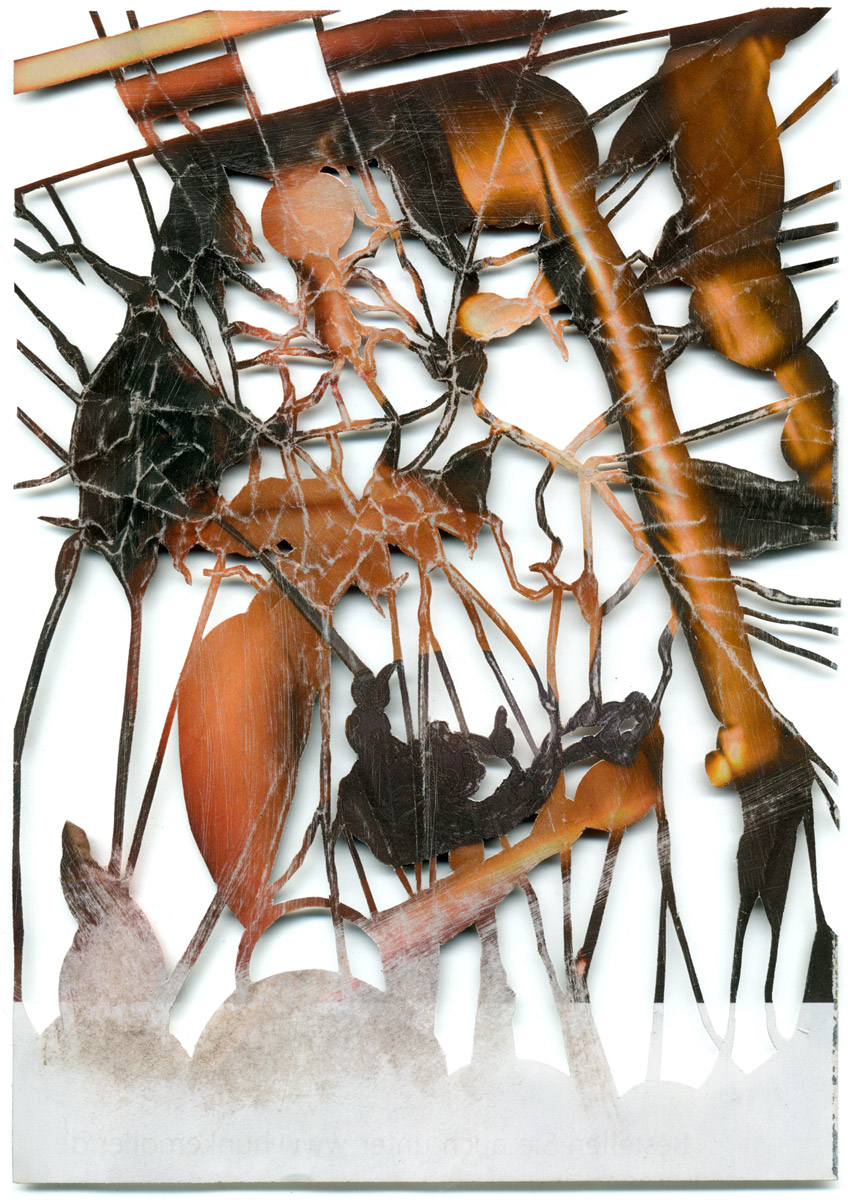 Peter Freitag - BLATTFORMER -- "Hubba Hubba"