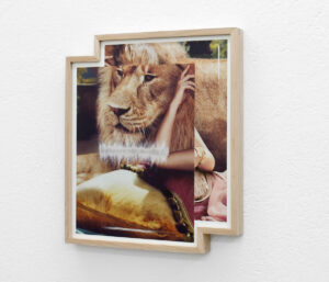 CreativityIsAWildBeast