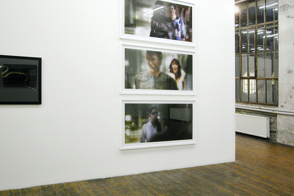 Peter Freitag - Ausstellung "Facticous" - Pierogi Gallery, Leipzig