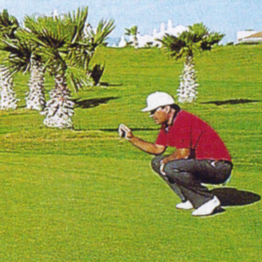 Peter Freitag - Examples for Communication -- "Golfer"