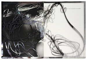 Peter Freitag - Beauty Free -- ""Something That You Look At And Haven't Seen Before"