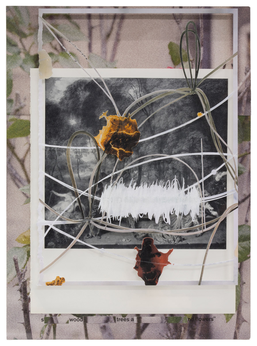 Peter Freitag - shocked I had no idea -- "It-s Wood Trees And Flowers"