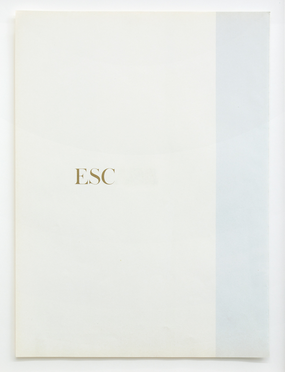Peter Freitag - Sanded Typo -- "ESC"