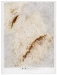 Peter Freitag - Seven Ways to Win - "PRIDE"